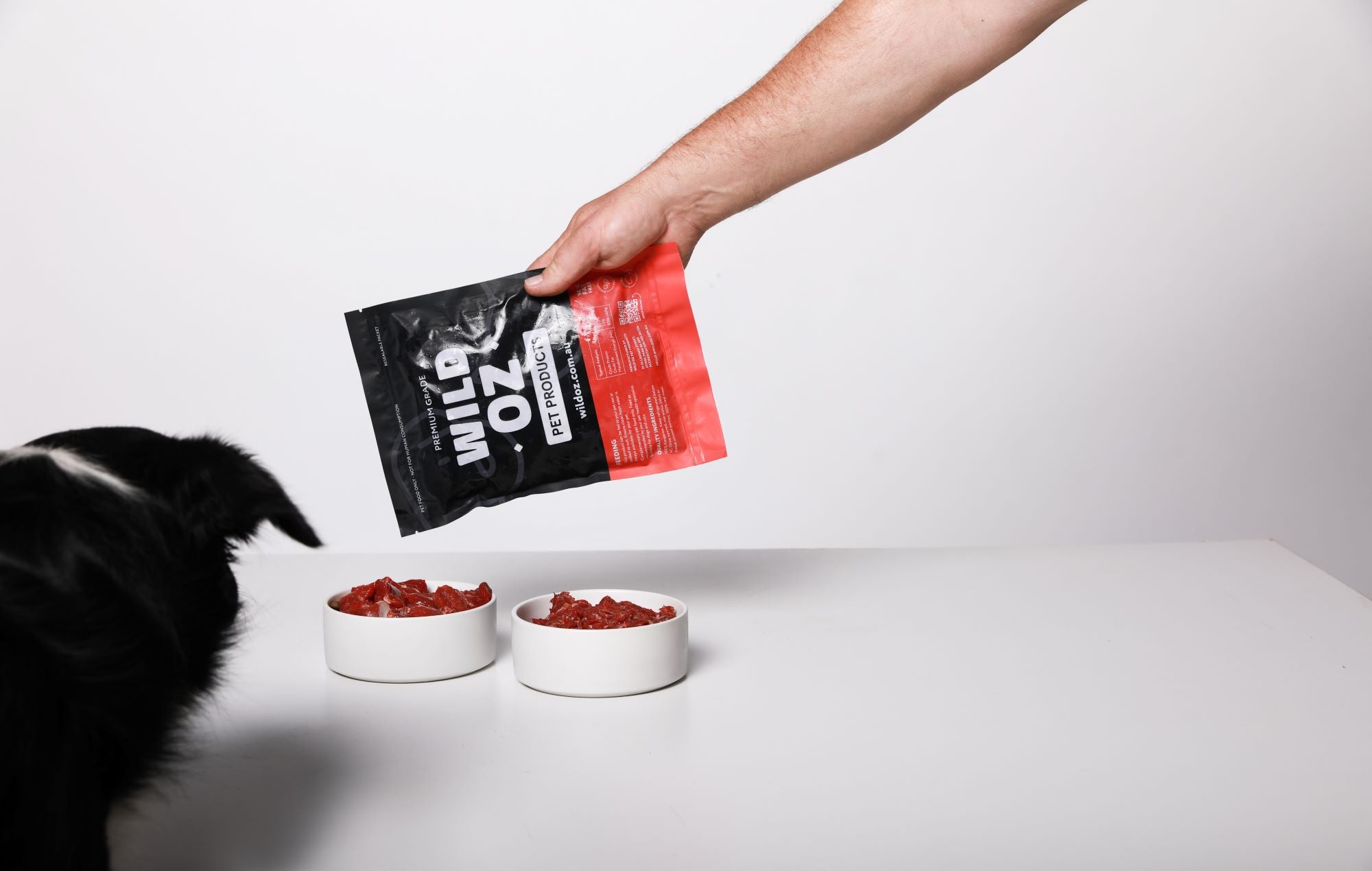 How Many Times a Day Do I Feed My Pet? wildoz