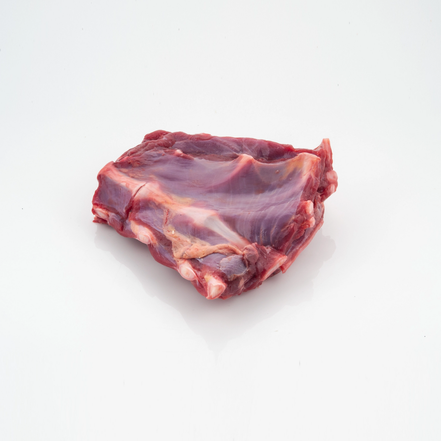 Raw Kangaroo pet food starter pack small dog