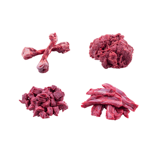 Raw Kangaroo pet food starter pack large dog