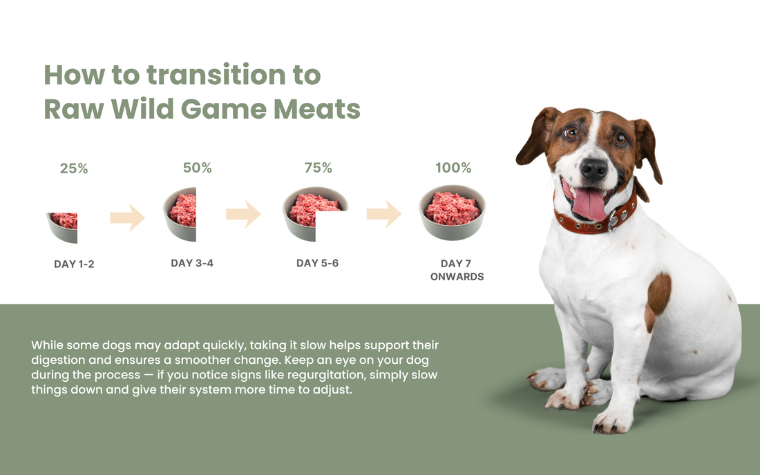 Transitioning Your Dog to Raw Wild Game Meats: A Simple Guide