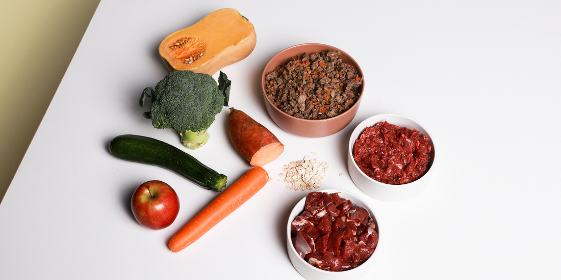 Is Your Pet Missing This Essential Nutrient?