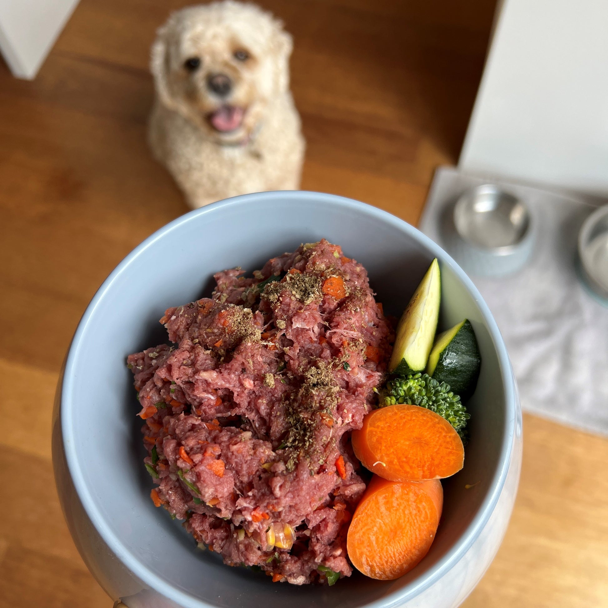 Raw Kangaroo mince pet food 500g