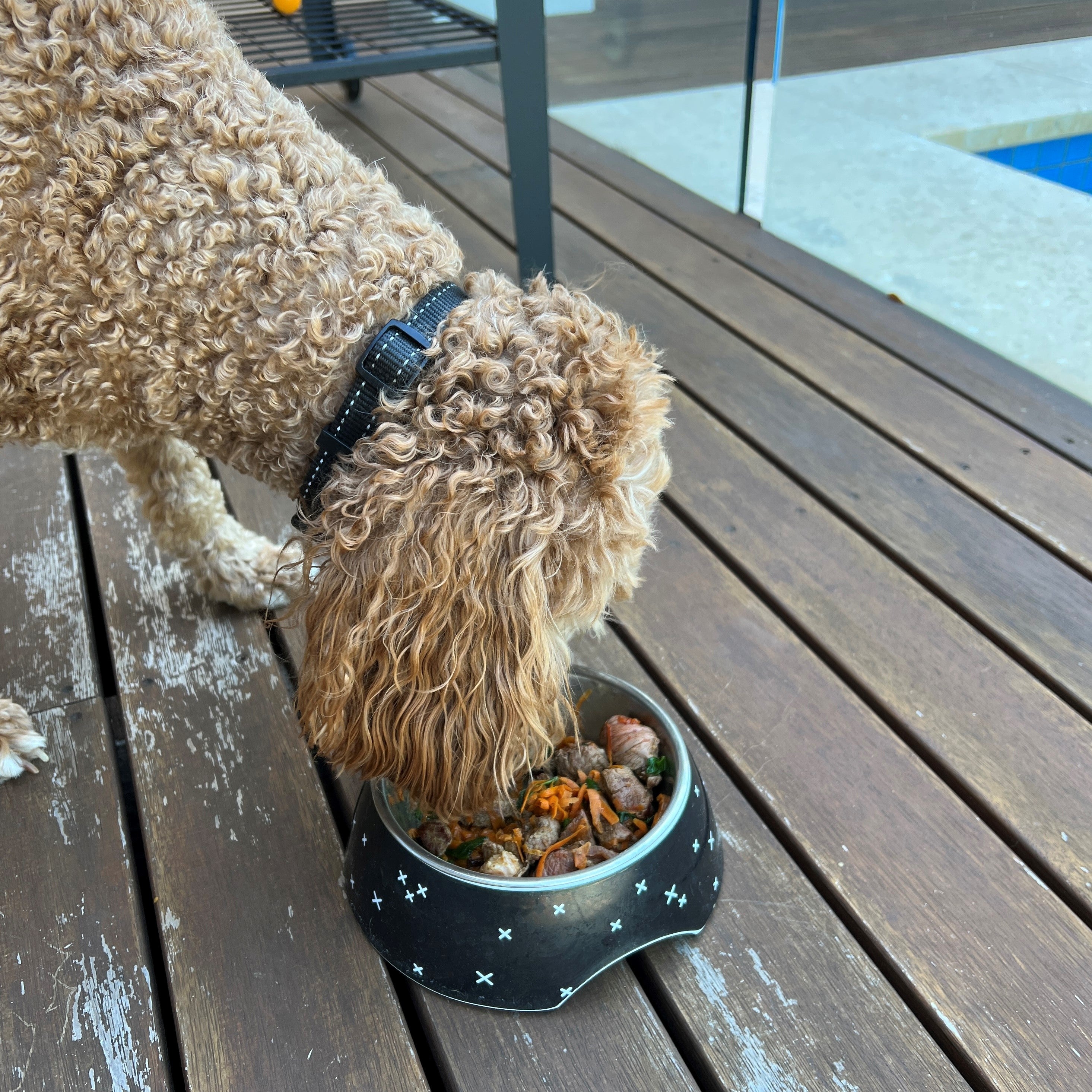 Raw diced kangaroo pet food 500g