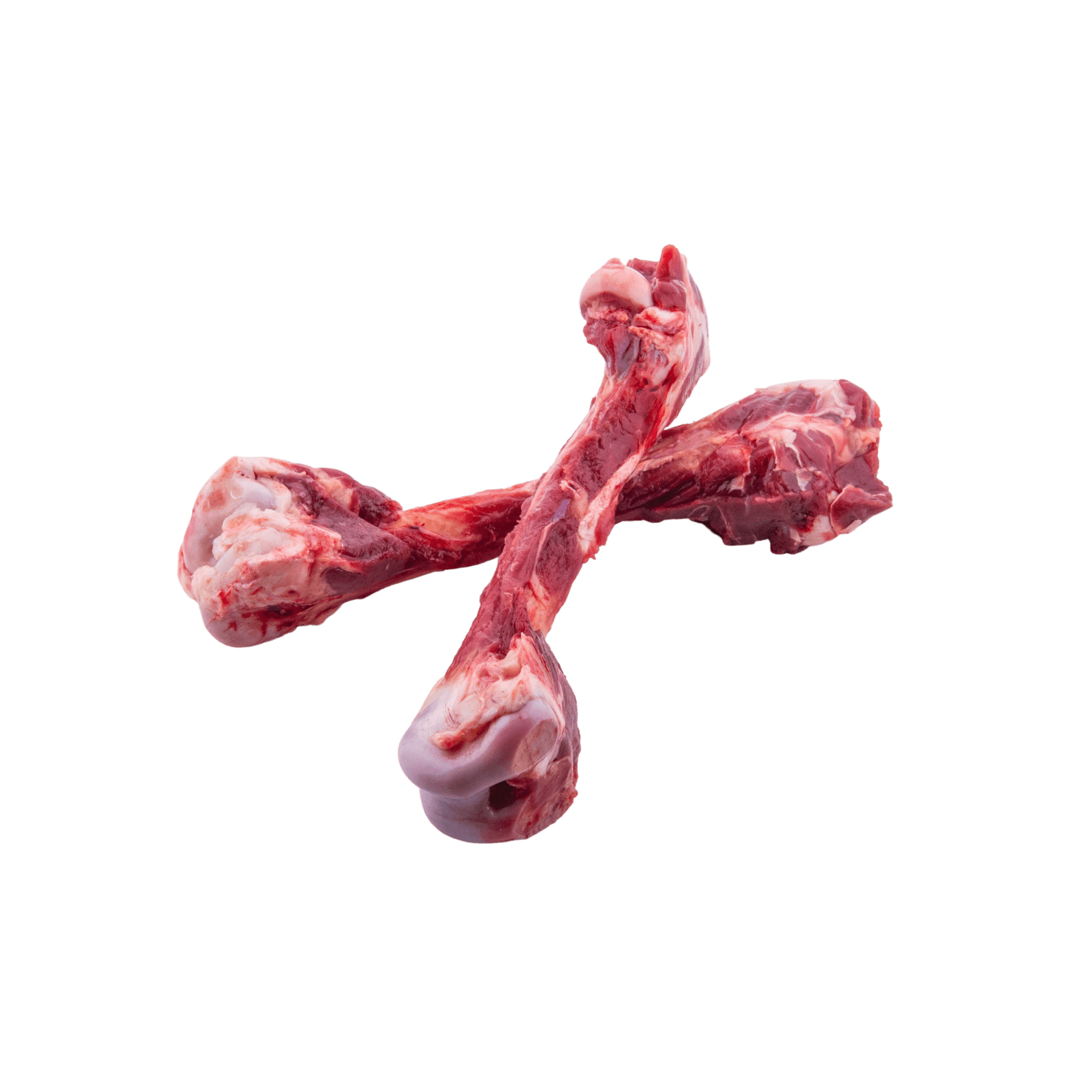 Kangaroo bones online for dogs