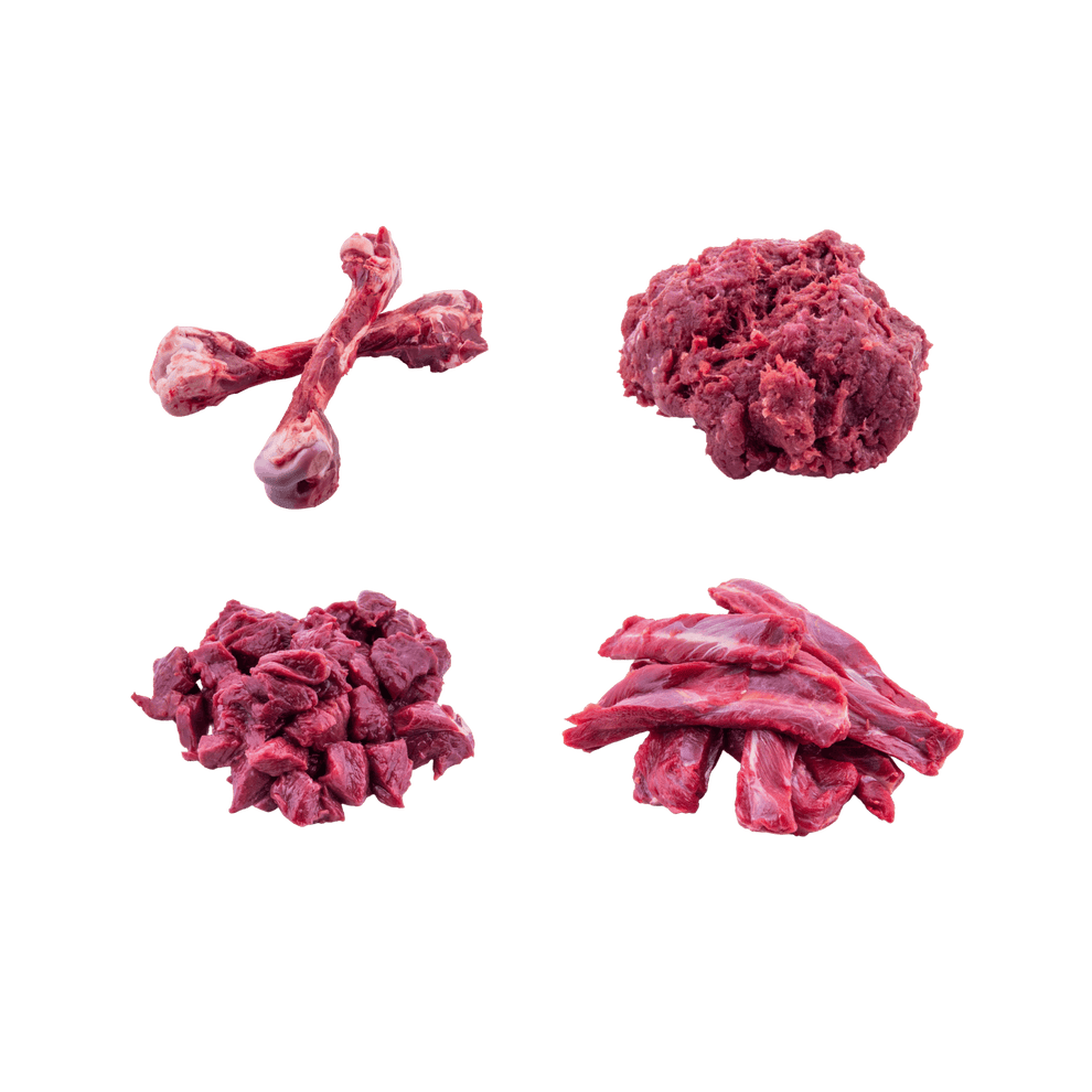 Raw Kangaroo pet food starter pack large dog wildoz